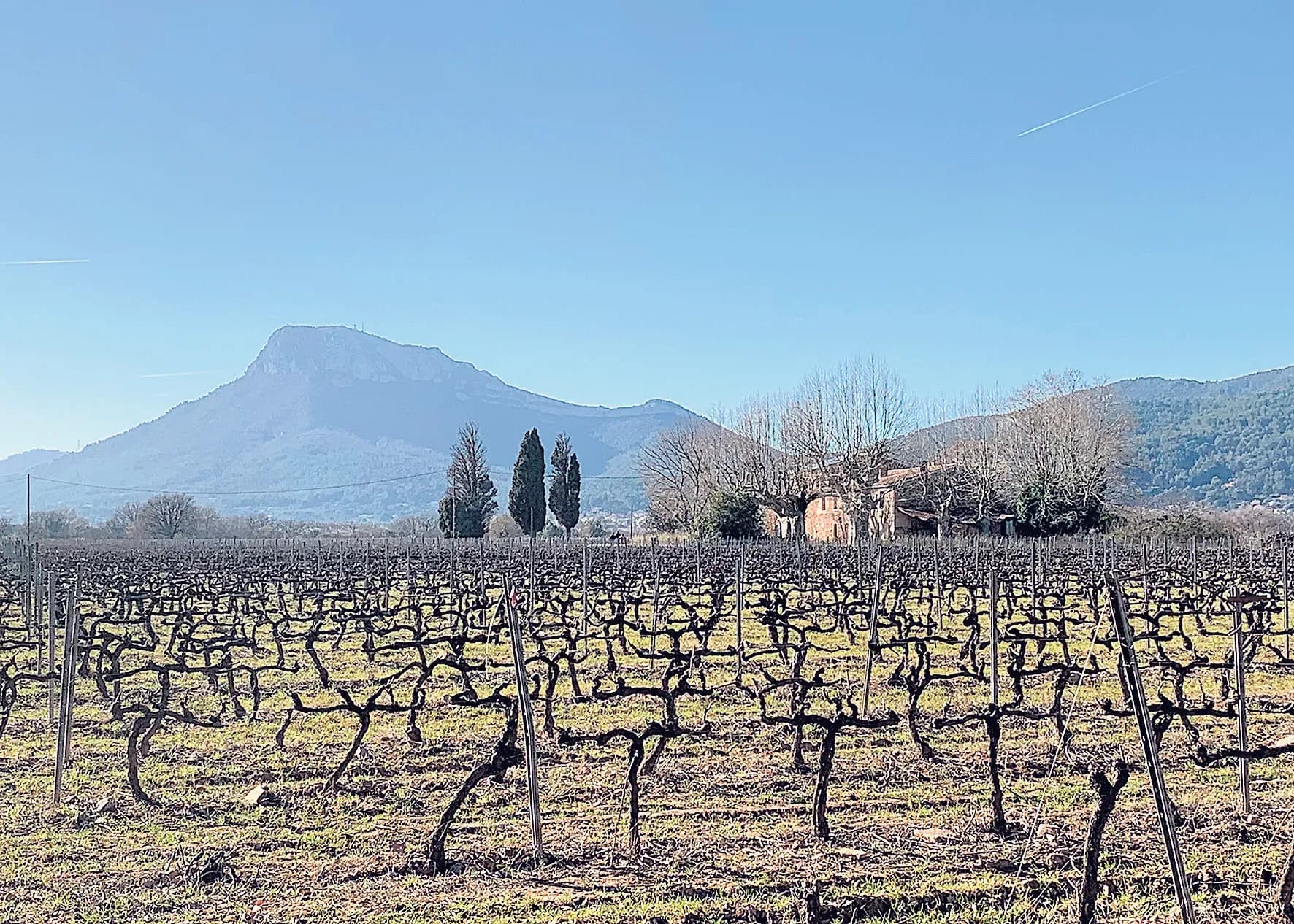 Le Canal de Provence soutient la profession agricole