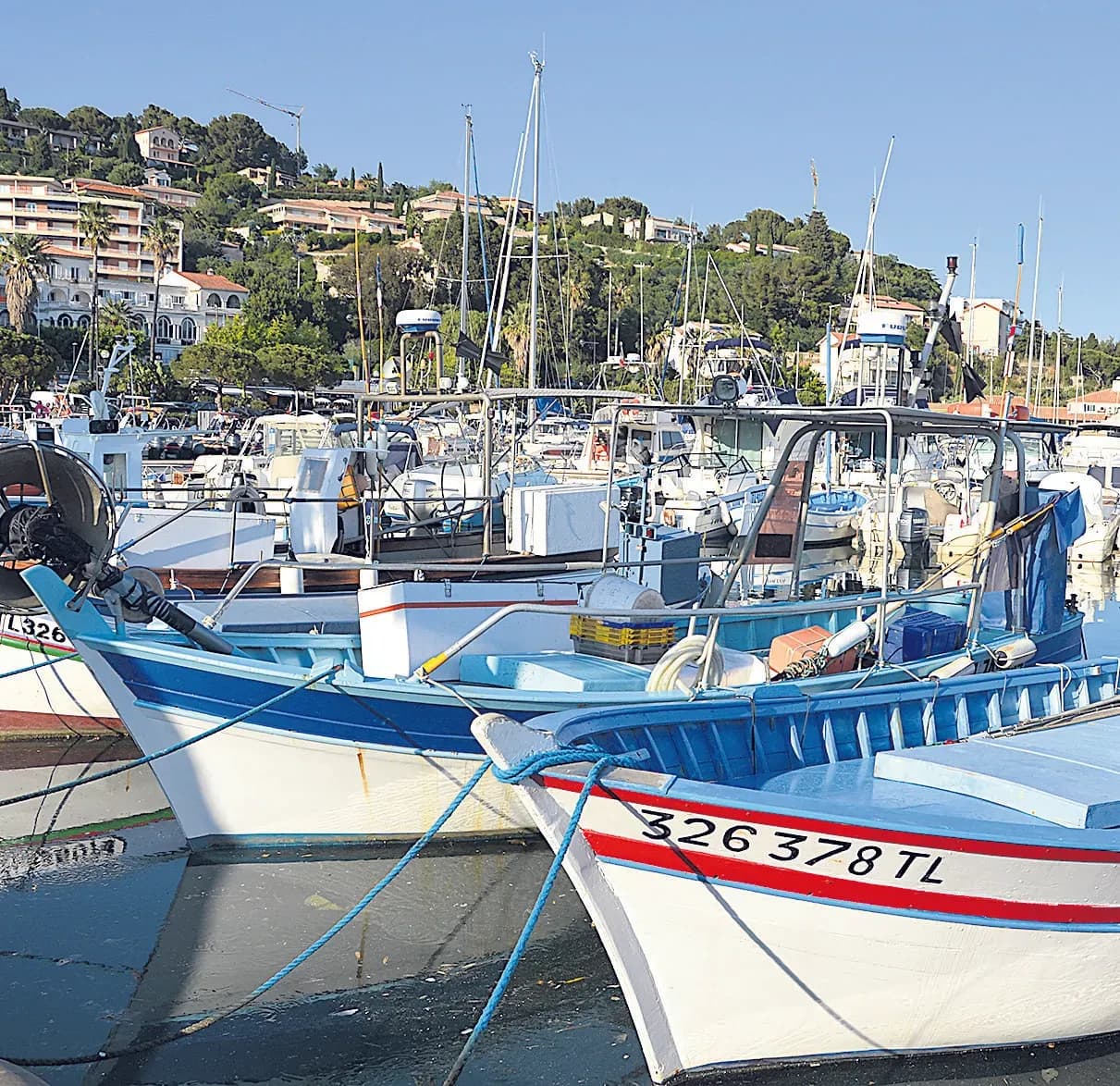 Le Lavandou, cité des dauphins et des pescadous !