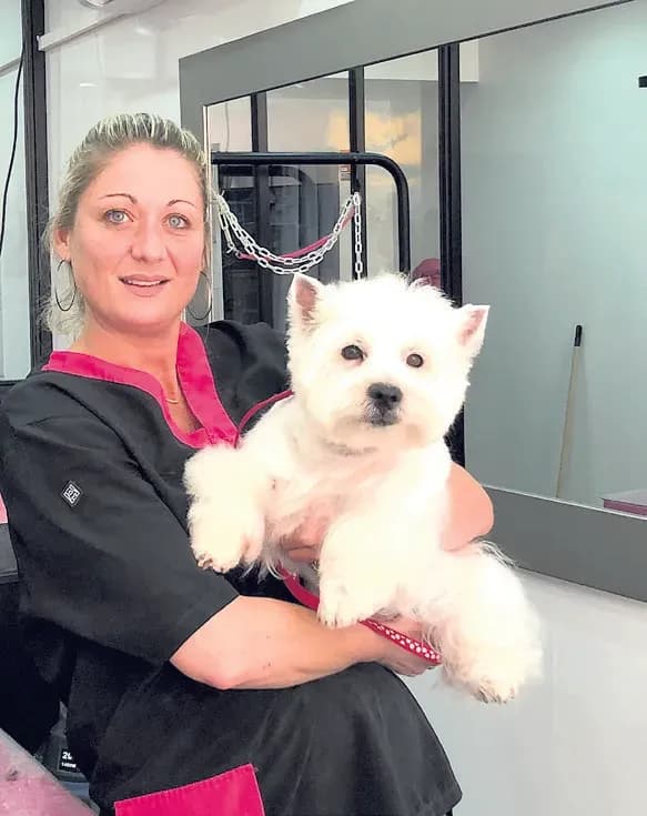 Au Chien Chic, la bonne adresse pour nos amis à quatre pattes