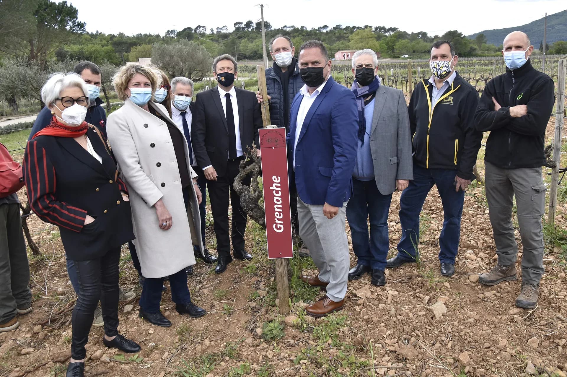 Episode de gel, les élus au chevet des vignerons