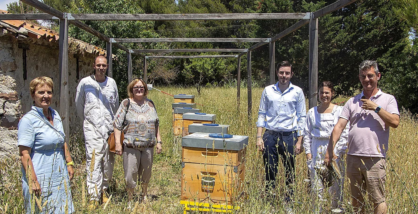 Des abeilles pour surveiller la qualité de l’air et de l’eau