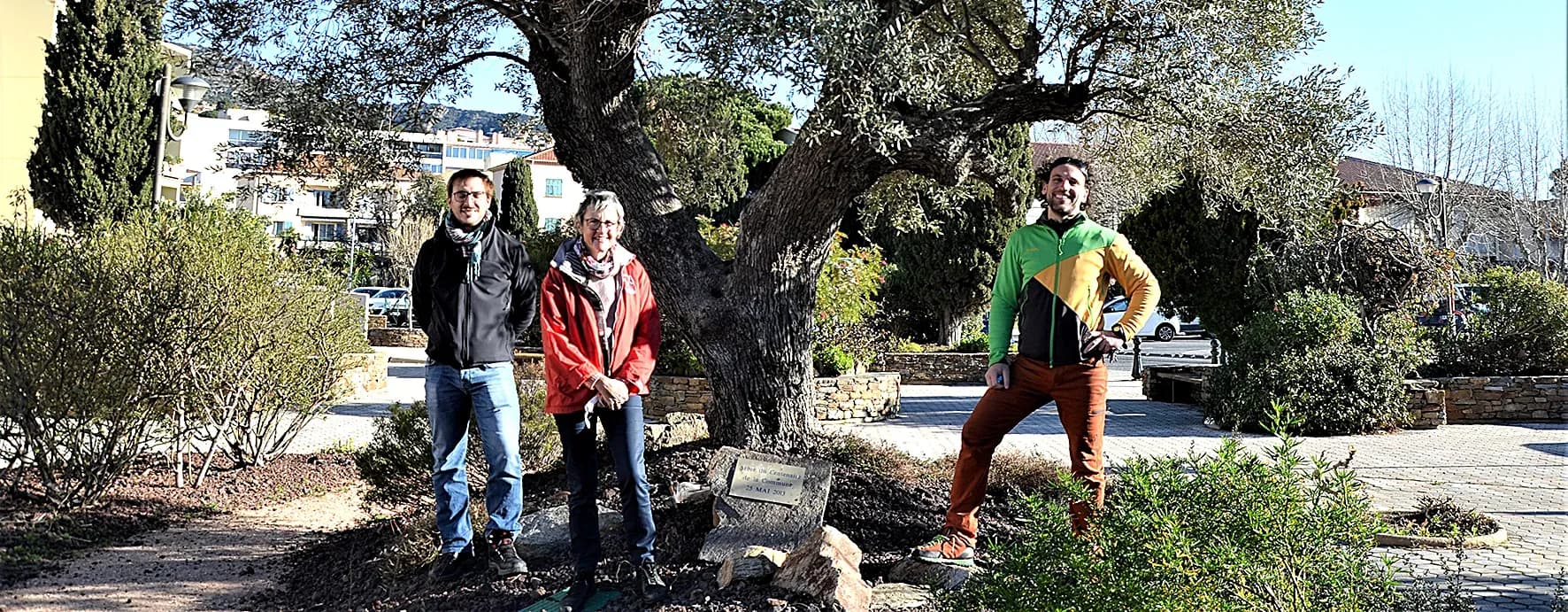 Une carte d’identité pour 3 500 arbres