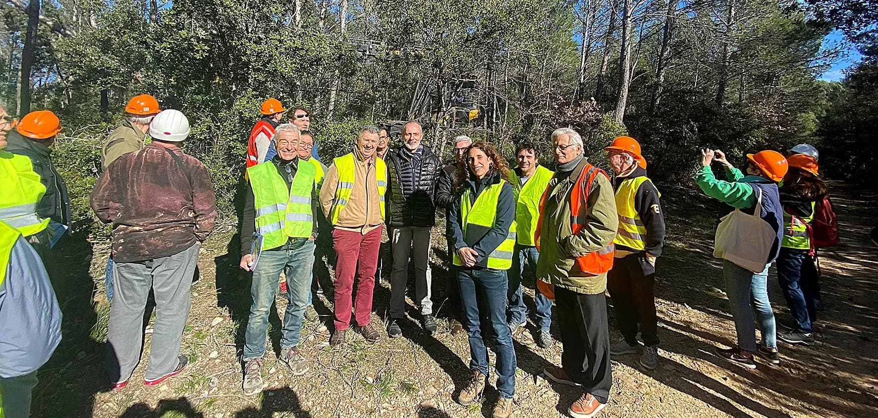 Des coupes groupées en forêts publiques et privées