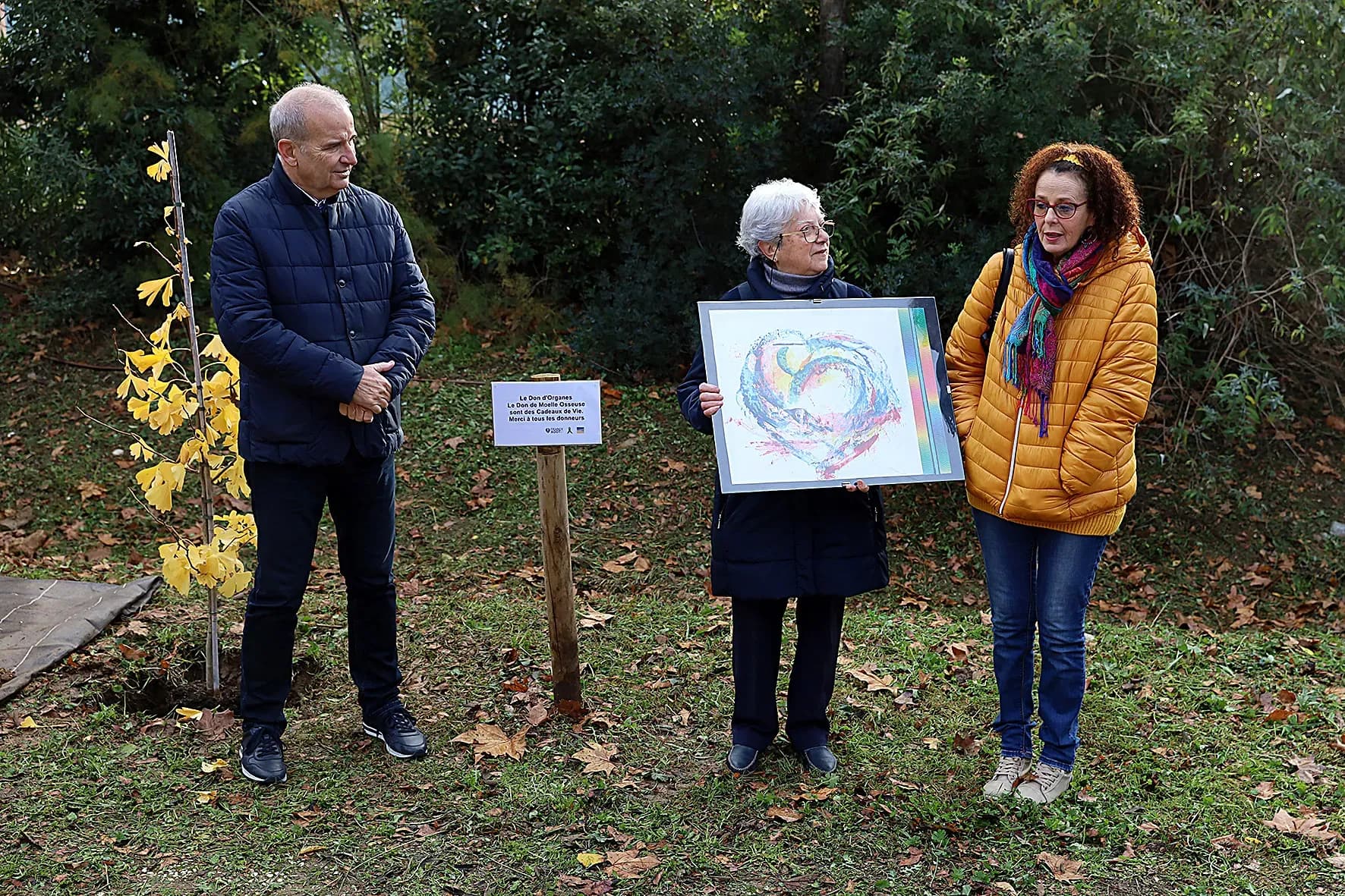 Un Ginkgo Biloba planté au Domaine de Baudouvin