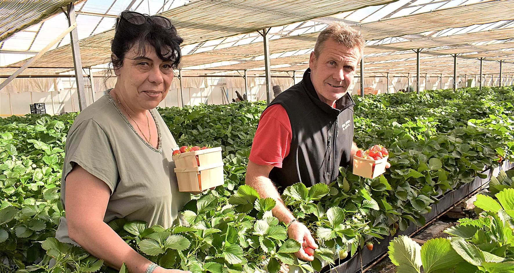 Hervé Beneventi, priorité à la qualité des fruits et légumes