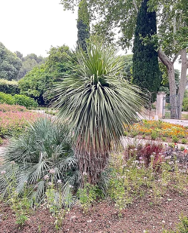 Fête de l'été au Jardin Remarquable de Baudouvin