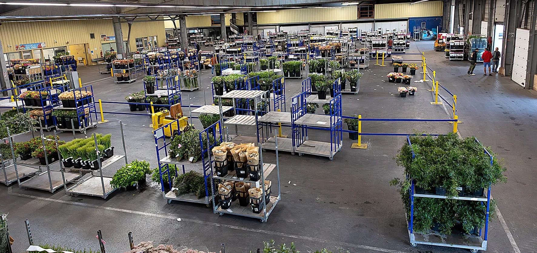 Le Marché aux Fleurs, un joyau de coopération et d’innovation agricole