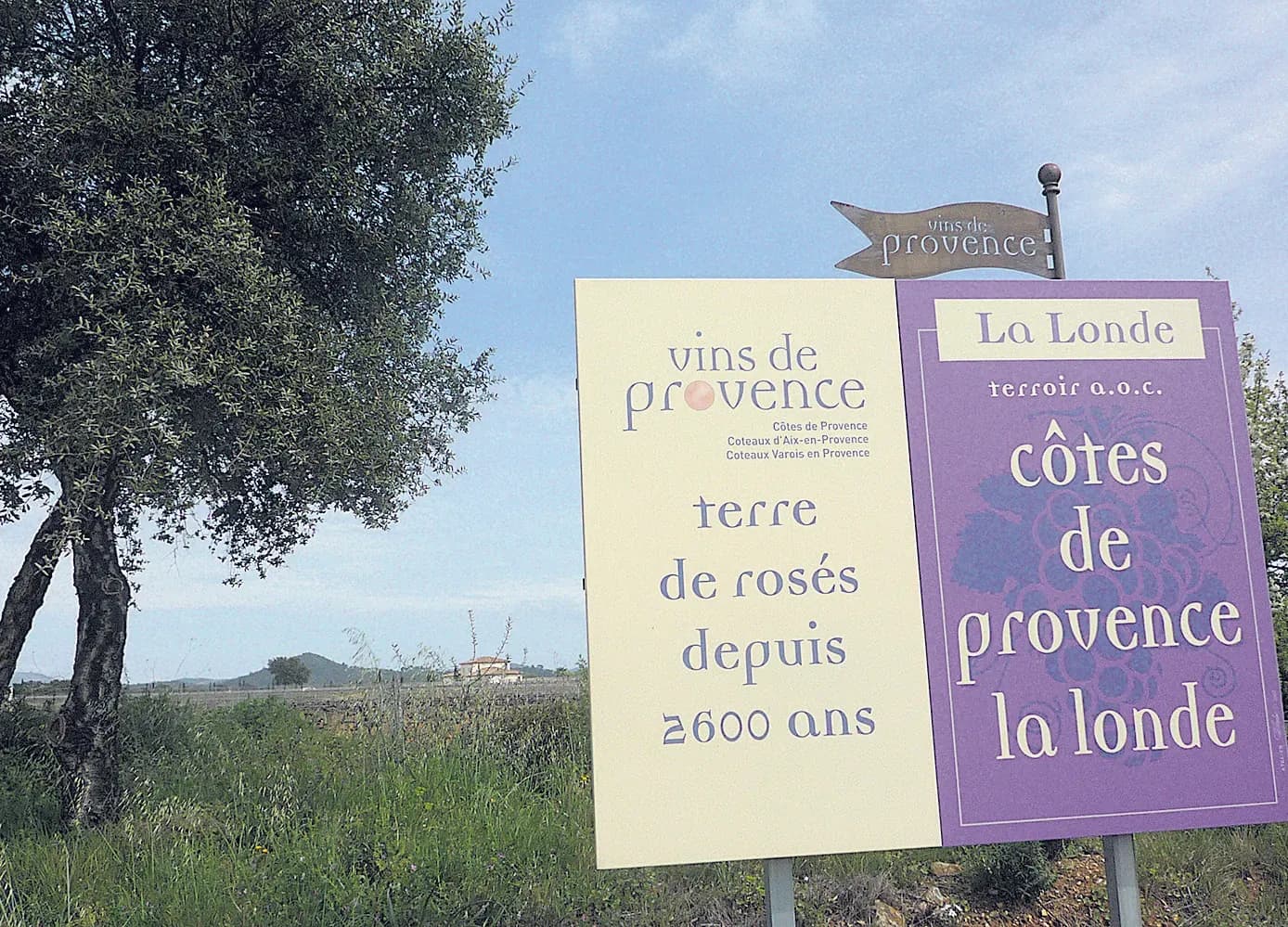 L’AOC Côtes de Provence veut sécuriser son appellation