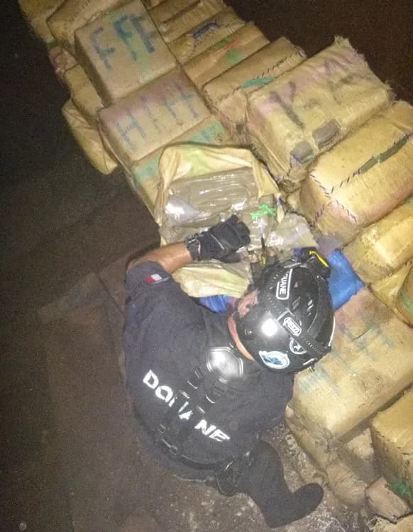 Plus de 4 tonnes de drogue saisies par la douane française