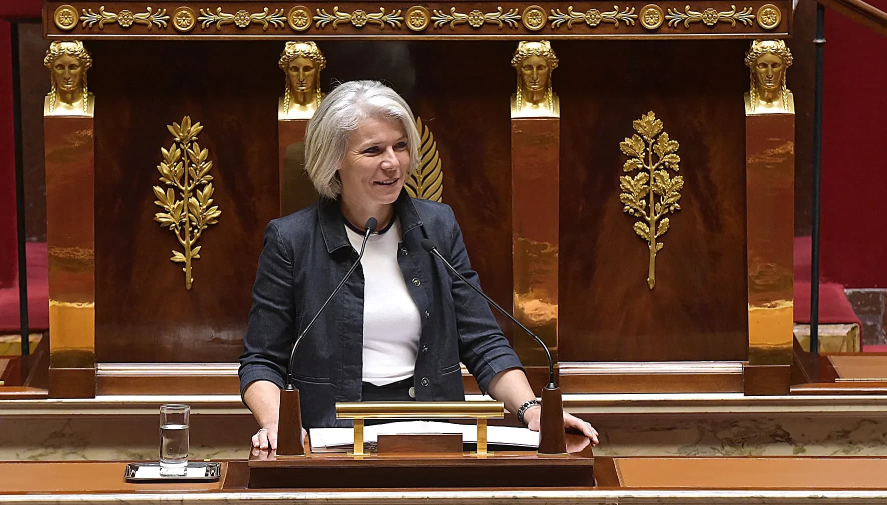 Sereine Mauborgne salue la loi sur les harkis