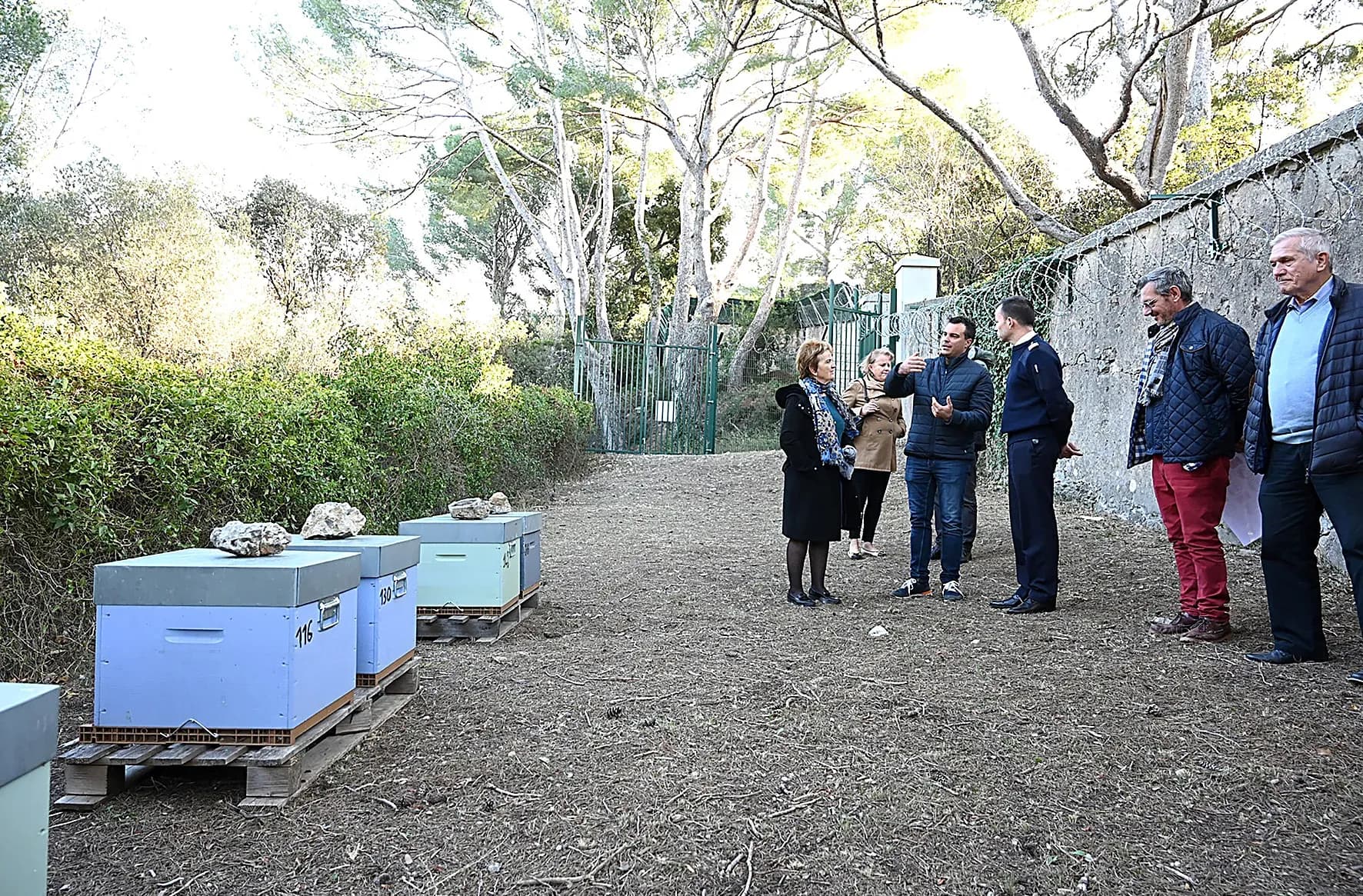 Apicité, le pouvoir des abeilles