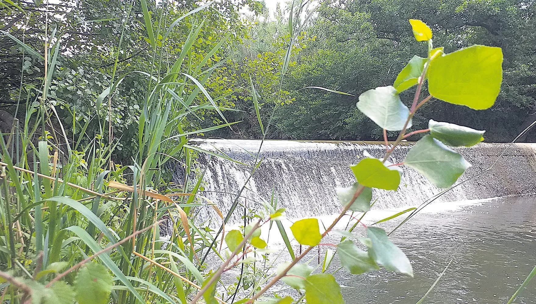 Partez à la découverte du Réal Martin !