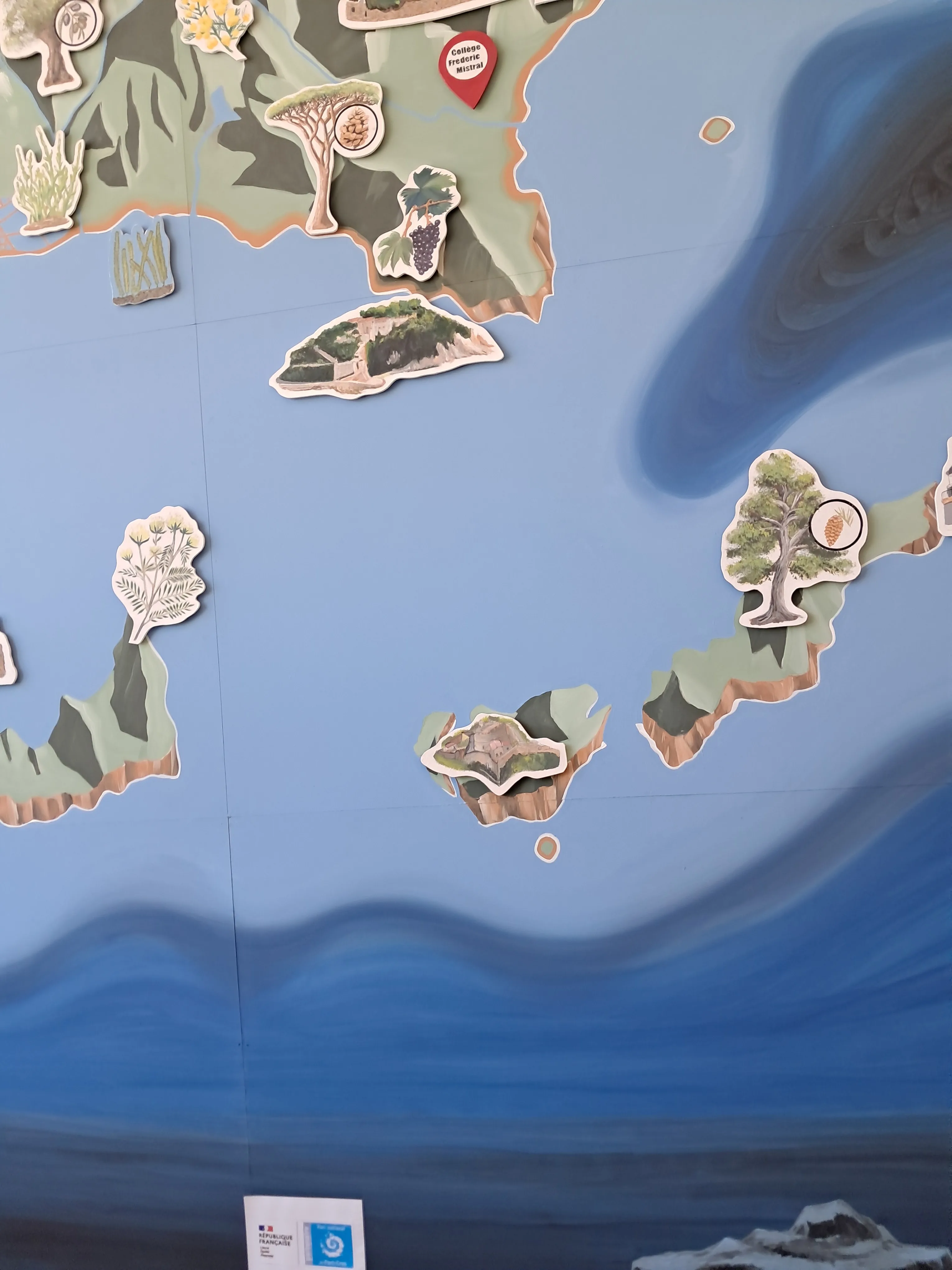 Image 5