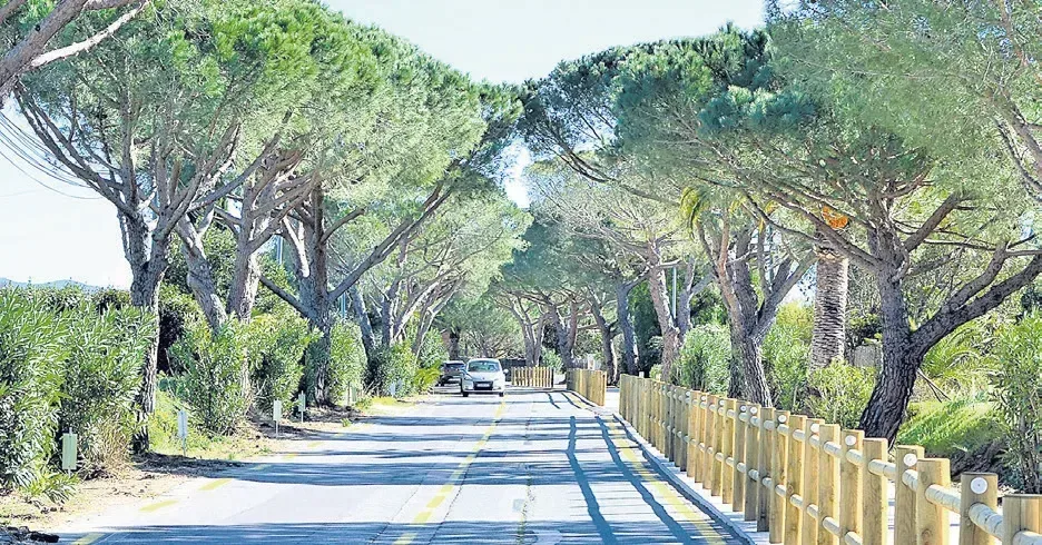 Avenue Ritondale, aménagement réussi d’une voie verte