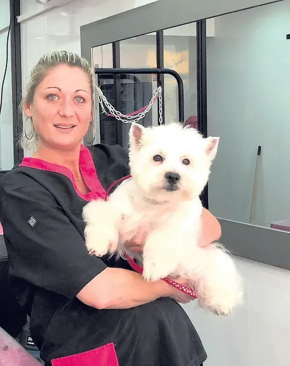 Au Chien Chic, la bonne adresse pour nos amis à quatre pattes