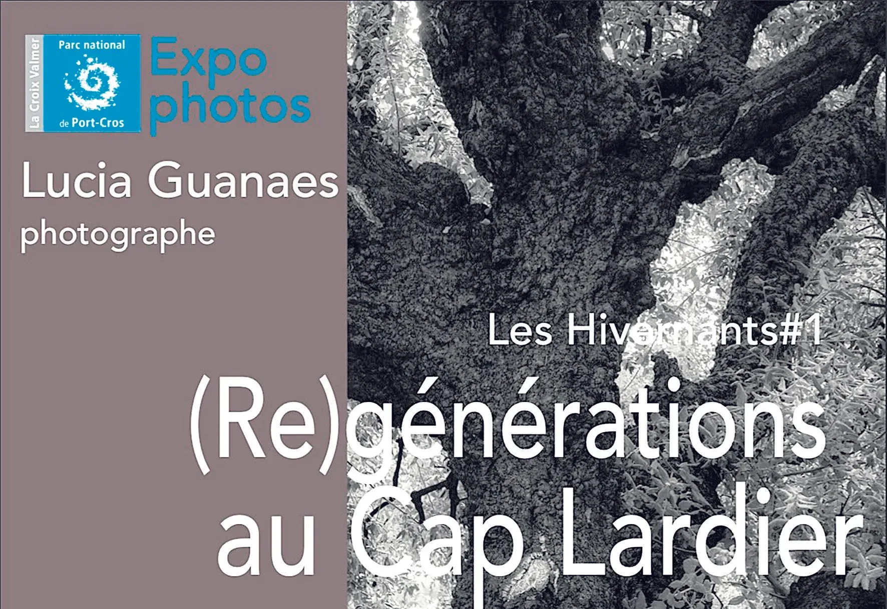 « (Re)générations », travail de mémoire avant et après les incendies