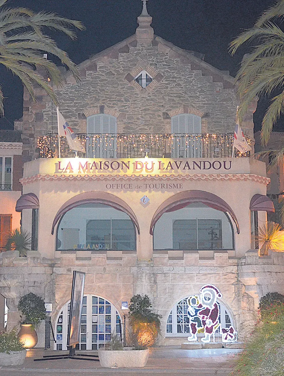 Image 4