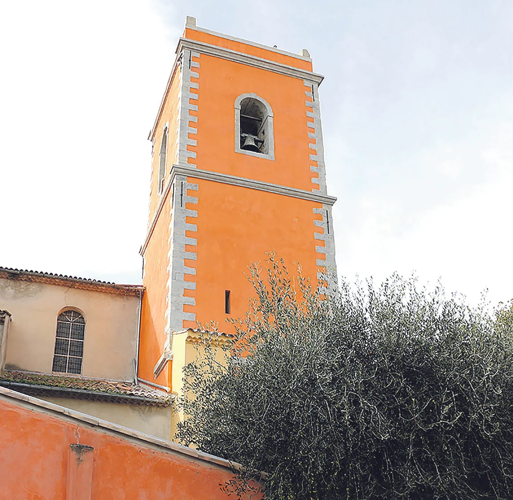 Image 8