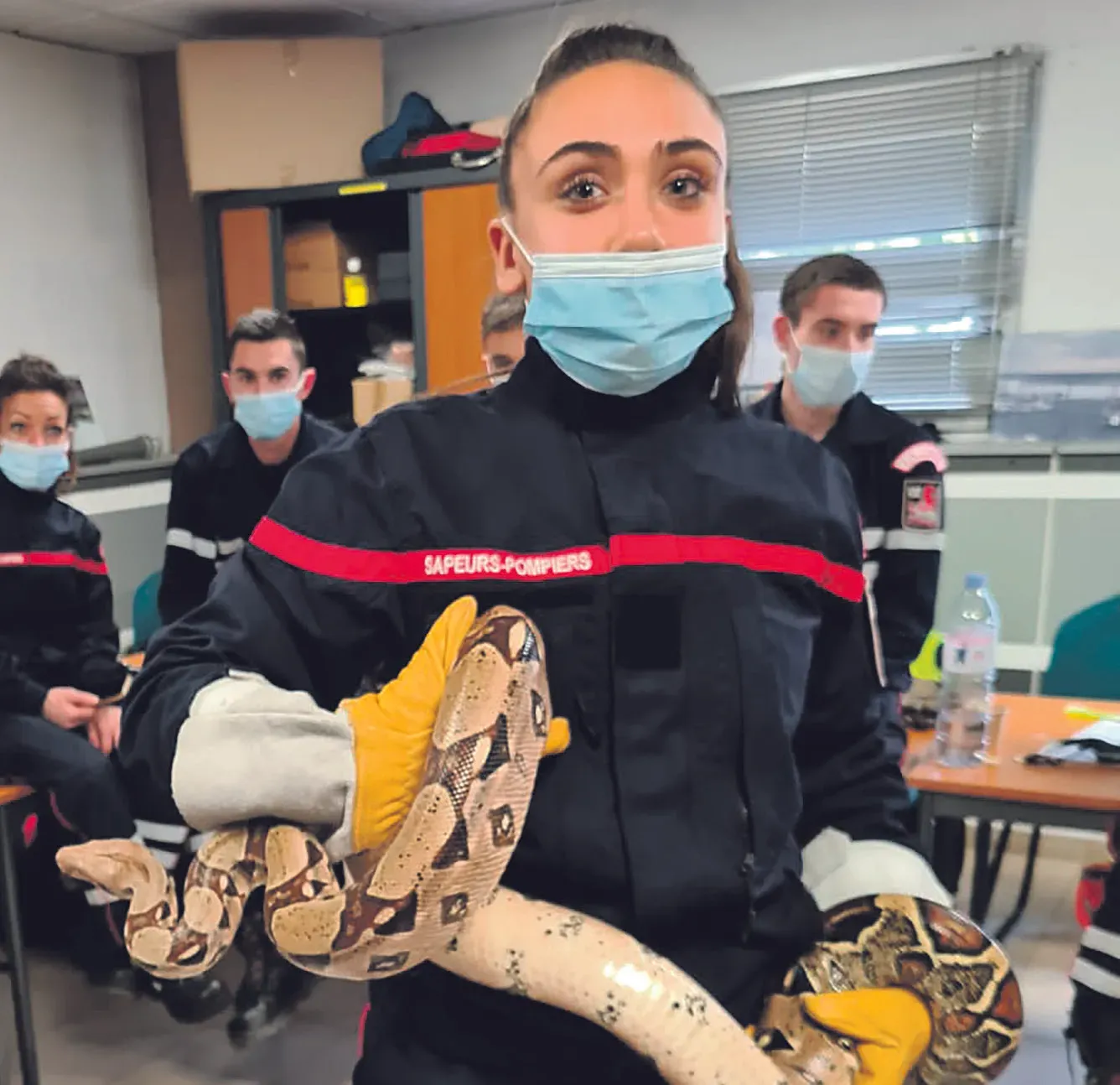 La présence animale, intégrée à la formation initiale des sapeurs-pompiers