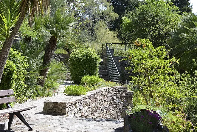 Image 11