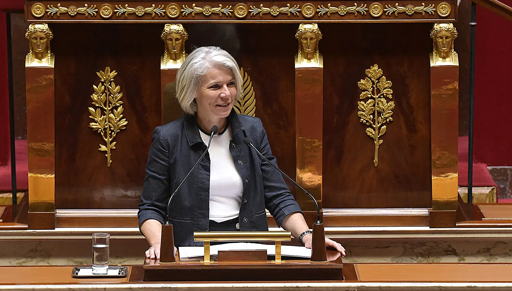 Sereine Mauborgne salue la loi sur les harkis