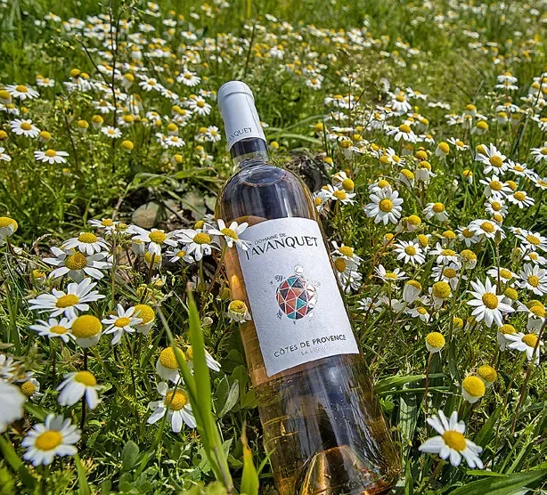 Au Domaine de Favanquet, le plaisir du partage