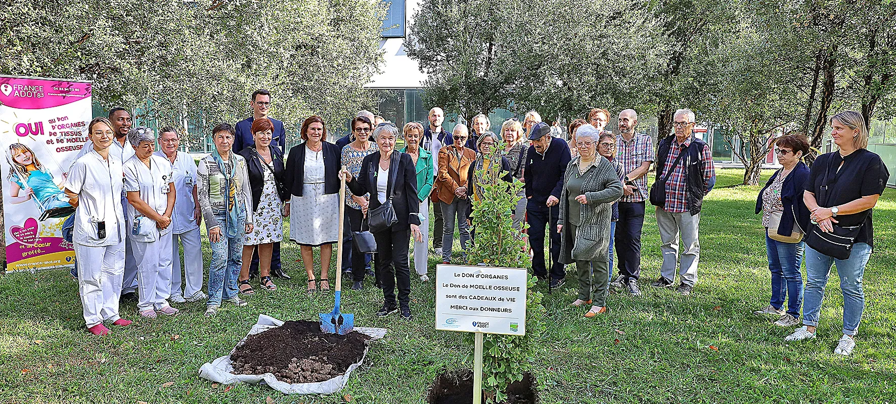 Un Arbre de Vie pour remercier les donneurs d’organes