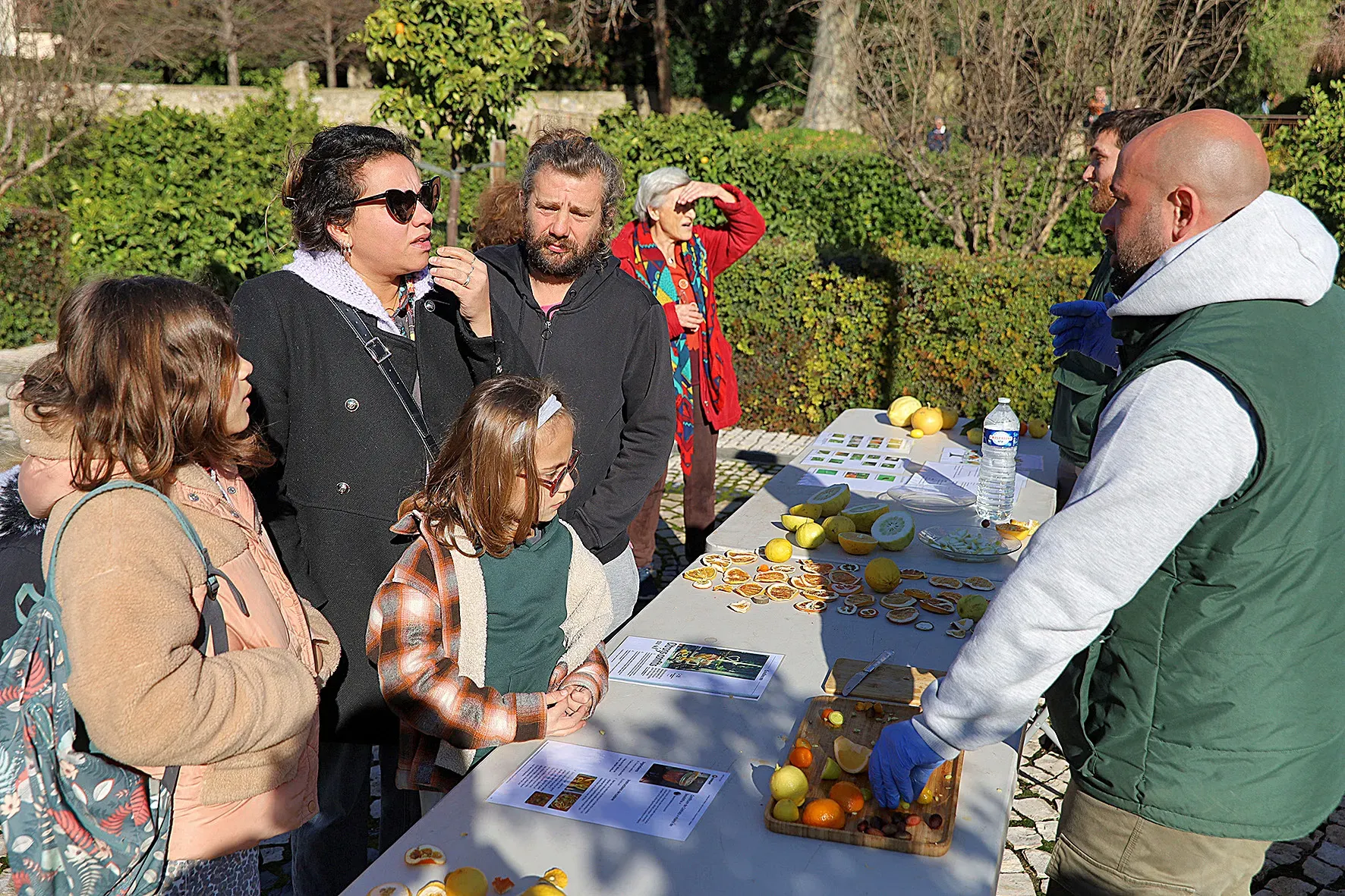 Le Jardin de Baudouvin célèbre la richesse des agrumes