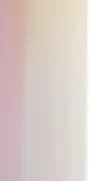 Image 64