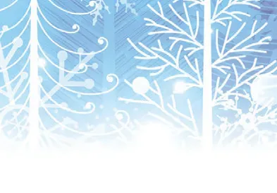 Image 39
