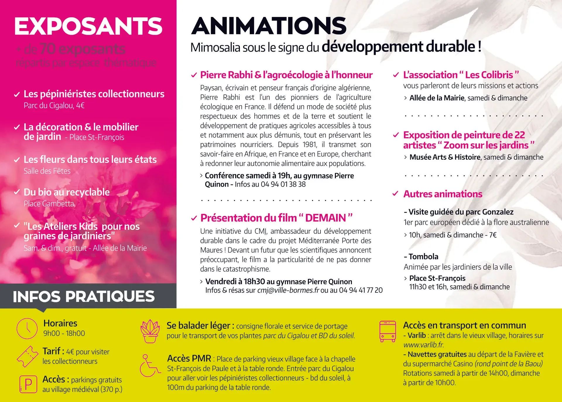 Comment entretenir son Bonsaï en hiver