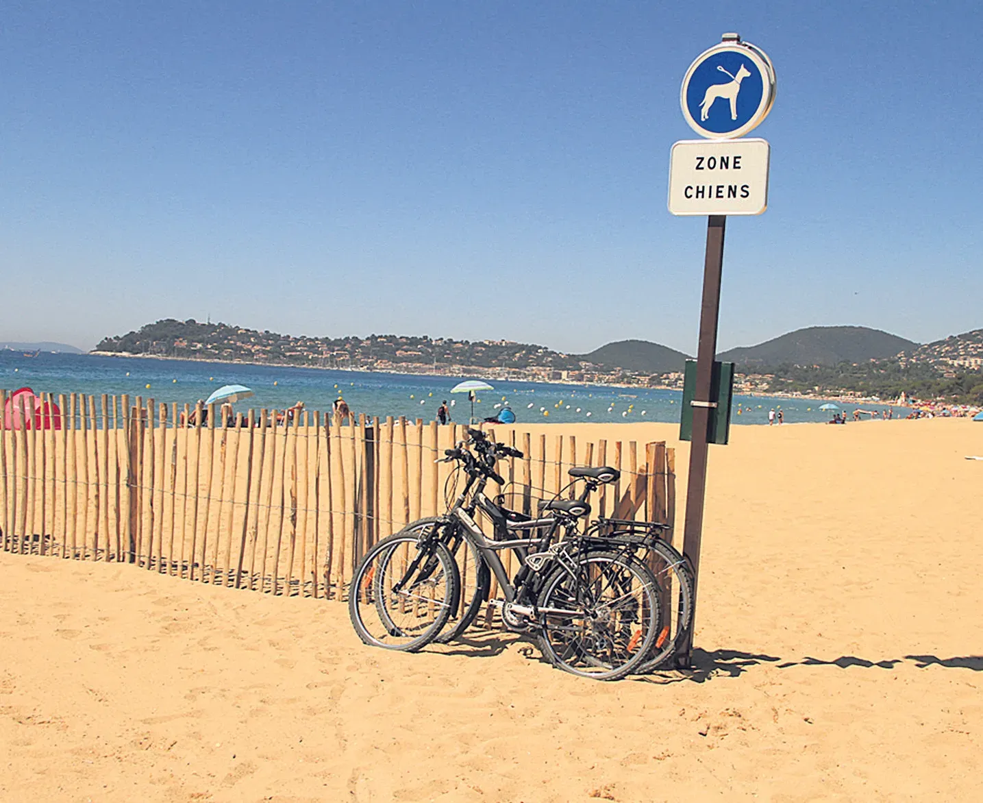 Suppression de la zone canine à la plage du Débarquement