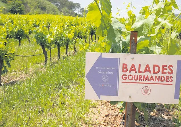 Le village a fêté les 10 ans des balades gourmandes