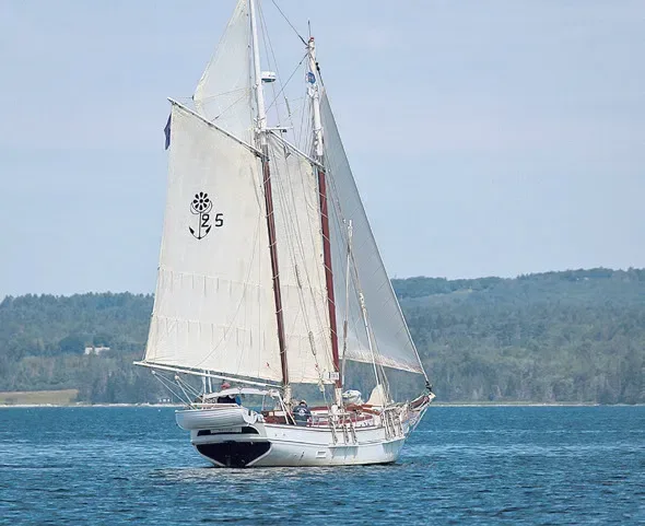 Succès pour la 5ème édition des « Voiles de Tradition »