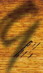 Image 20