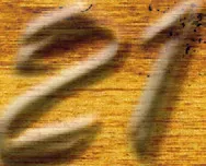 Image 27