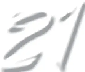 Image 28
