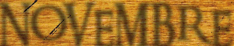 Image 30