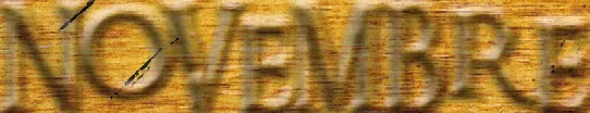 Image 31