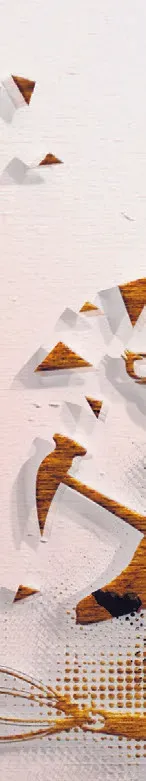 Image 37