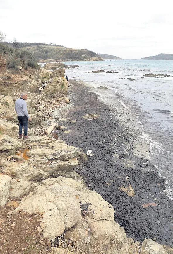 Une longue et délicate mission de dépollution