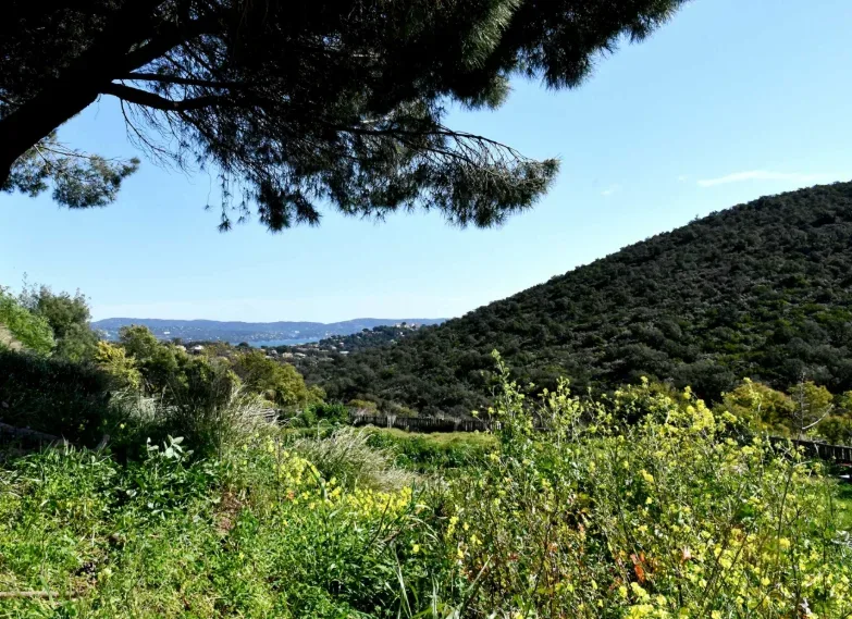 Musique, étoiles et bien-être au programme de la Maison de la Nature