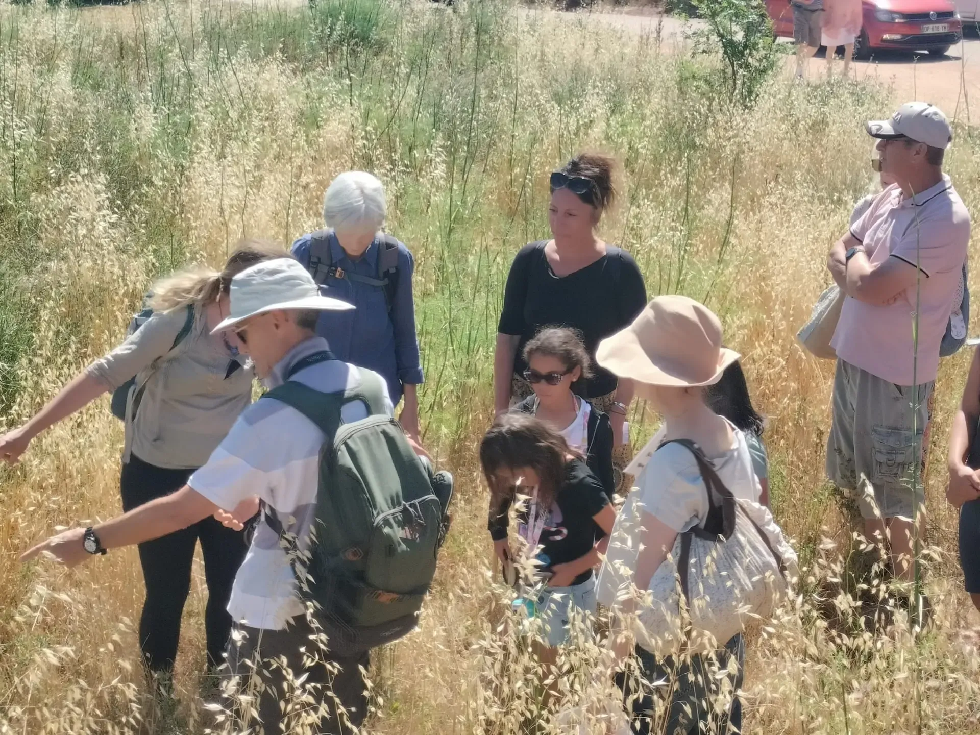 LA SEYNE-SUR-MER : Biodiversité – Une journée pour comprendre et protéger les papillons